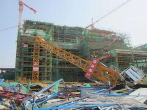 2016年厦门 莫兰蒂 台风塔式起重机倒塌情况调查分析