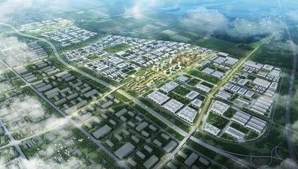 “2021德企中国行”代表在蔡甸感受“一见钟情” 塔吊见证中德合作新篇章